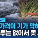 WOONG GAME 이미지