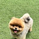 헬로우버디 이미지