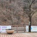 상동개발주민주식회사 네이버블로그