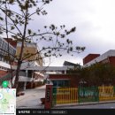 한여울초등학교 이미지