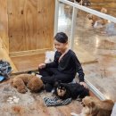 헤이독 | 대전 은행동 아이와 함께 실내 가볼만한 곳 헤이독 대전점 방문후기