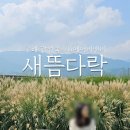 새뜸다락 이미지