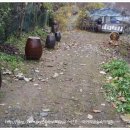 대문안 농장 이미지