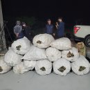 동해-단속-19 이미지