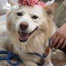 보경쉼터 이미지