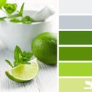 열매푸드 이미지