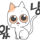 남문떡볶이풍덕초입