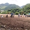 [20200719] 충북 단양 한드미 농촌유학 중등 9기 - 참ing 알찬 일요일 이미지