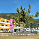 봉양4길 이미지