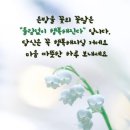 신데렐라화장품 - 구미시 백산로 145 | 신데렐라화장품