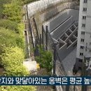 판교허가 이미지