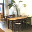 카페느리게 이미지