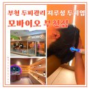 부천시교통정보센터 | 부천두피관리 성인 지루성두피염에 효과좋은 모바이오부천점에서 관리받은 리얼후기