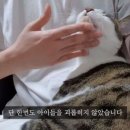 인정목장 이미지