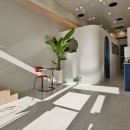 릴리리독 이미지