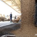 송탄농협미곡종합처리장 이미지