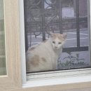 서하체육공원 이미지