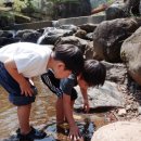 산청지막계곡캠핑장 이미지