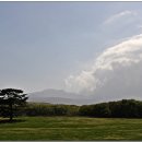 평화축산 네이버블로그