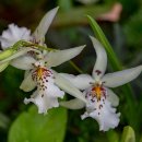 서울-두서-두서02 이미지