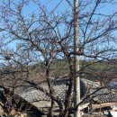 유촌마을회관 이미지