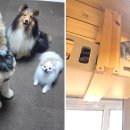 다녀오개 이미지