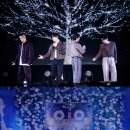 데이나이트컴퍼니 이미지