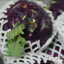 원빈농장 이미지