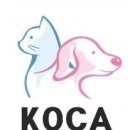 대전애견경매장 이미지