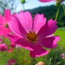 금산중학교 이미지