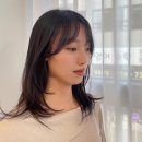 내마음헤어스케치 | 옥정 미용실 중 내 마음에 쏙 든 키프키프헤어 후기