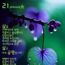 초록이