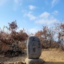 [버스운행취소합니다]11/10(일)정기산행 봉화 청량산(870m) 단풍 이미지