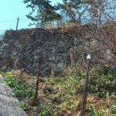 완도초등학교 앞 이미지