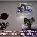 중앙카독크 이미지