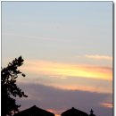 나비축제의 고장 함평 돌머리 해수욕장을 방문 하실때 참고 하세요 이미지