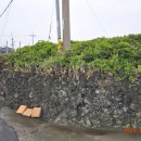 월령리경로당 이미지