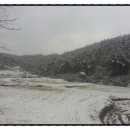 금평농장 이미지