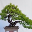 국제그린세탁소 이미지