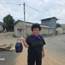 월야면사무소 이미지