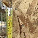 명인건축사사무소 이미지