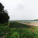 논산