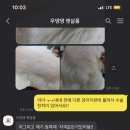 우댕댕 펫살롱 이미지