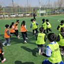 나례 태권도 이미지