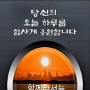 인생말년 수컷의 운명 이미지
