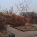 정정공 강사상 묘역 이미지