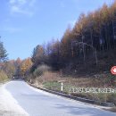 마당발부동산공인중개사사무소 이미지