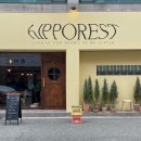 히포레스트(Hipporest) 네이버블로그