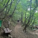 천안본가장어 | 천안에서 가장 높은 광덕산 폭우 백패킹 이야기 | 신상데크 소개(25.09.06기준)