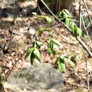 개산초등학교 이미지